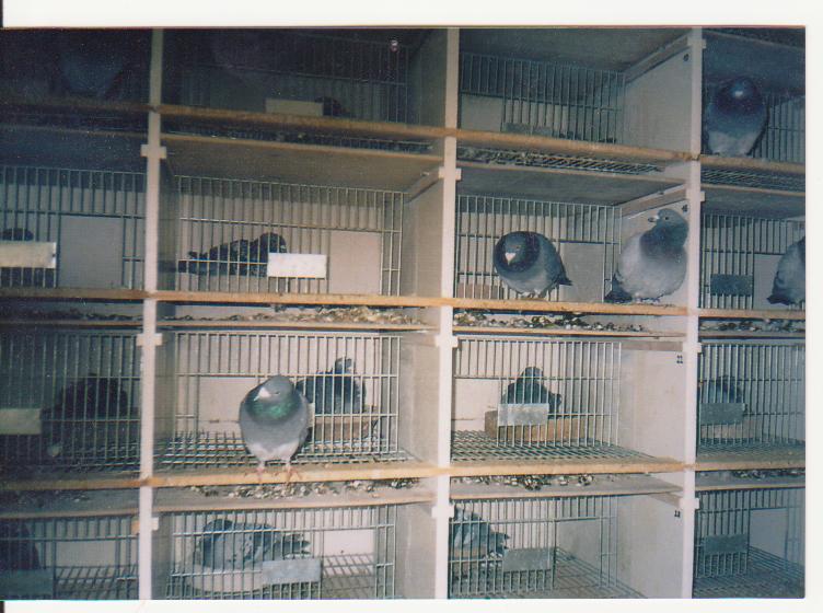 Snímek 001.jpg
