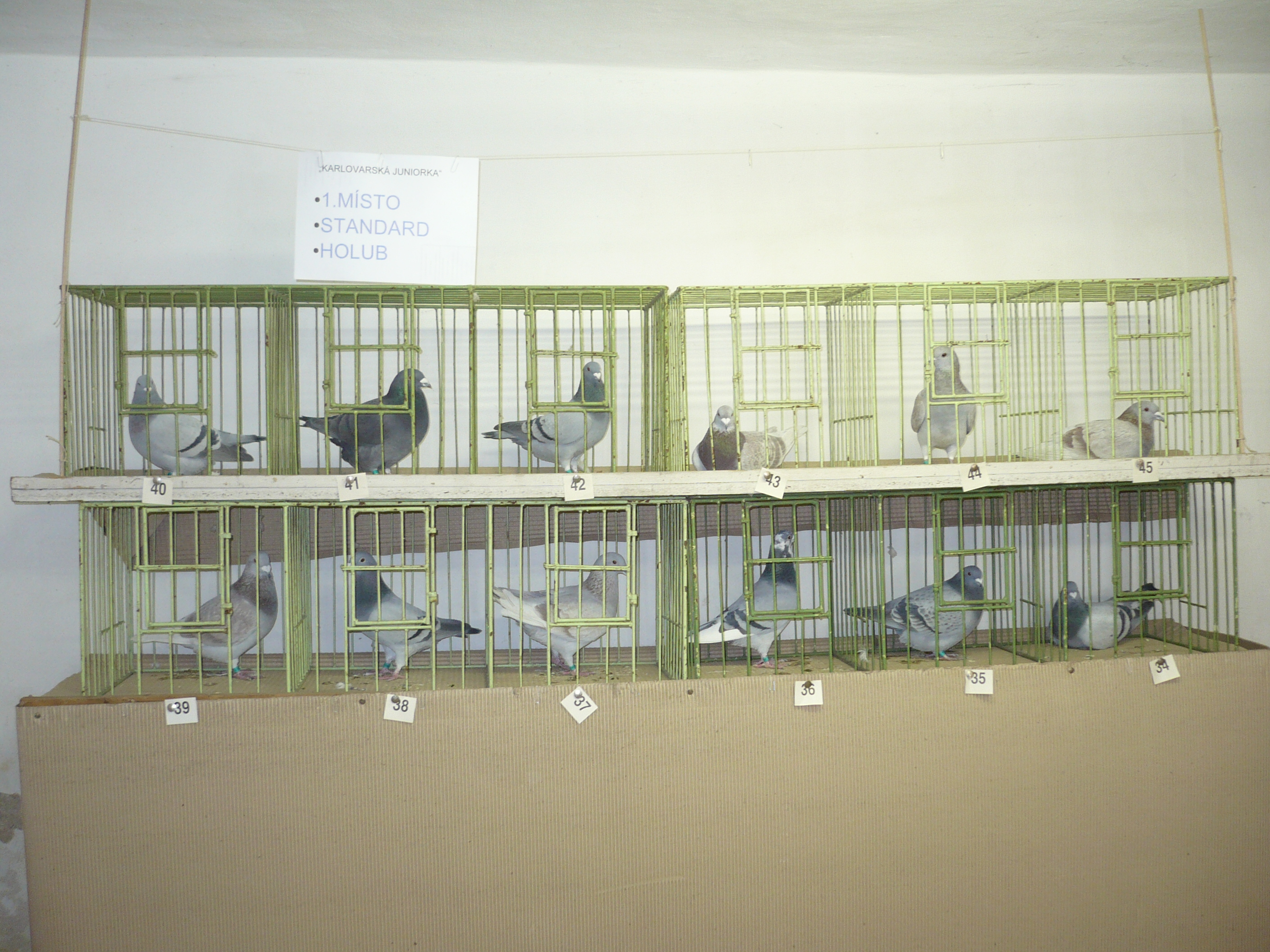 P1000240.JPG