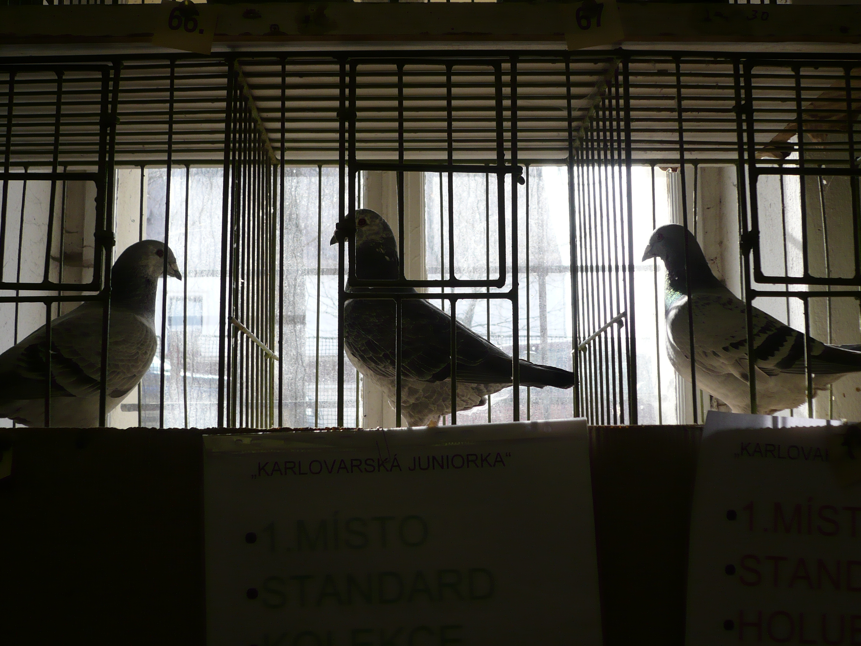 P1000250.JPG